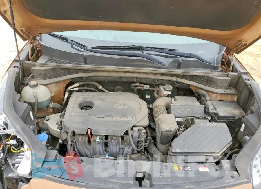 KNDPN3AC1L7657976 Photo# 12