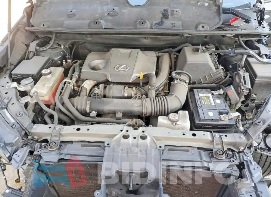 JTJDARDZ5M2245556 Photo# 11