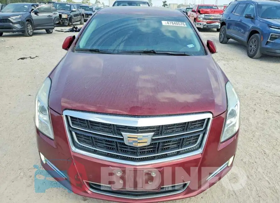 2G61M5S3XH9142843 Photo# 5