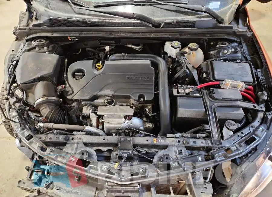 1G1ZD5ST1RF130033 Photo# 11