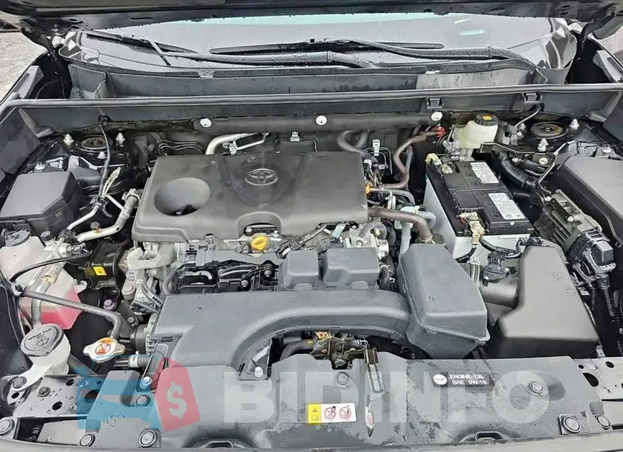 2T3P1RFV7RC450497 Photo# 13