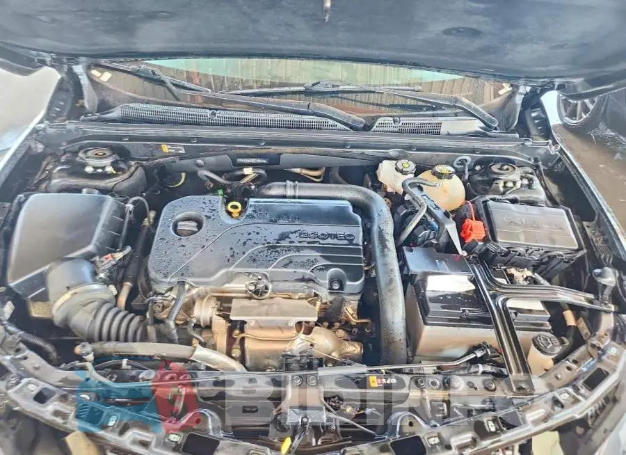 1G1ZD5ST9PF194849 Photo# 11