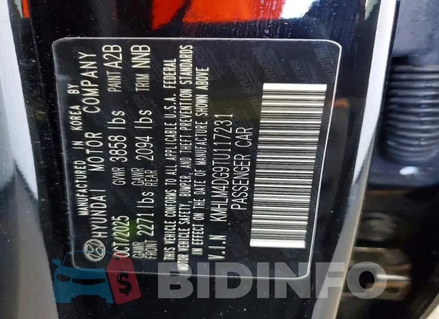 KMHLM4DG9TU117231 Photo# 12