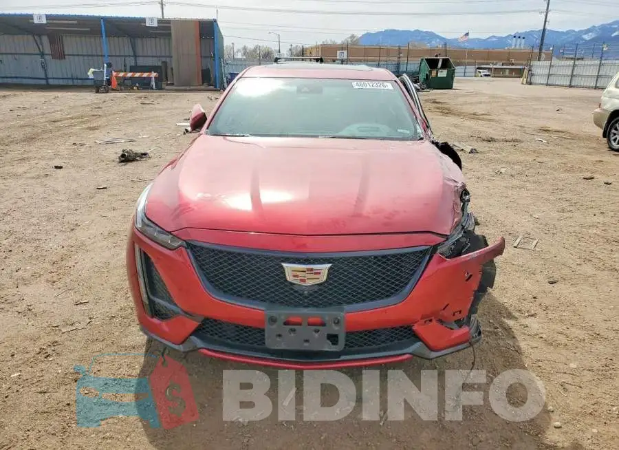 1G6DV5RW8L0135855 Photo# 5