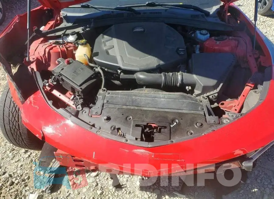 1G1FB1RS6H0161665 Photo# 11