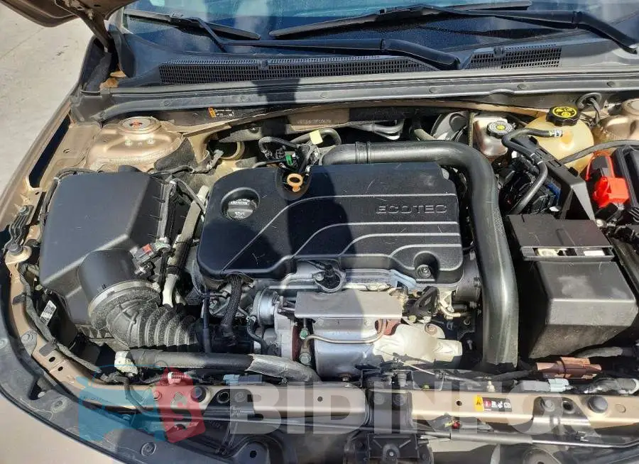 1G1ZD5ST7KF123674 Photo# 11