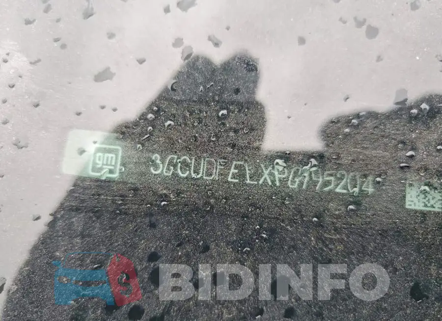 3GCUDFELXPG195204 Photo# 13