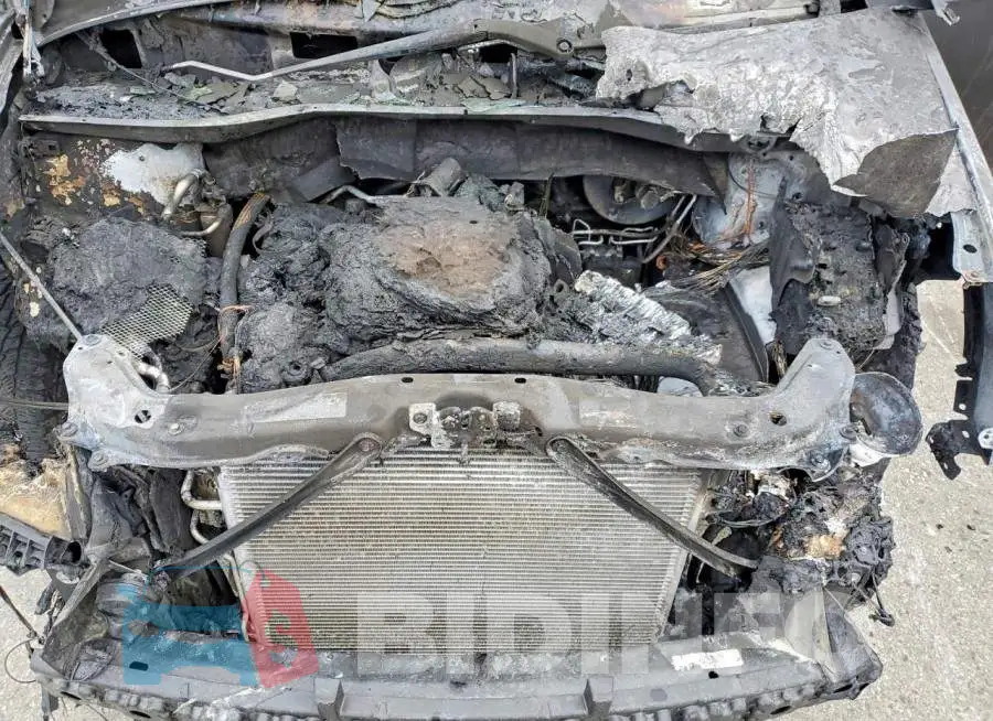 2C4RDGEGXKR658296 Photo# 12