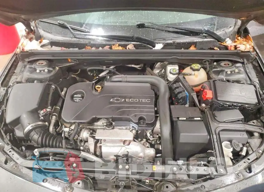 1G1ZE5ST5HF159983 Photo# 11
