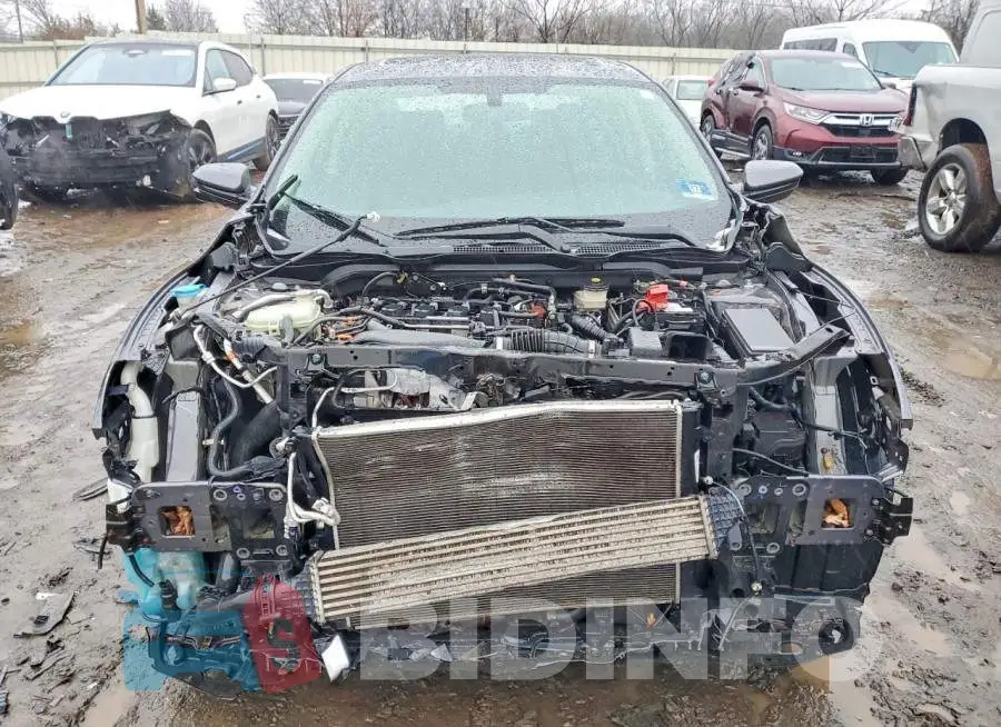 19XFC1F34HE203372 Photo# 5