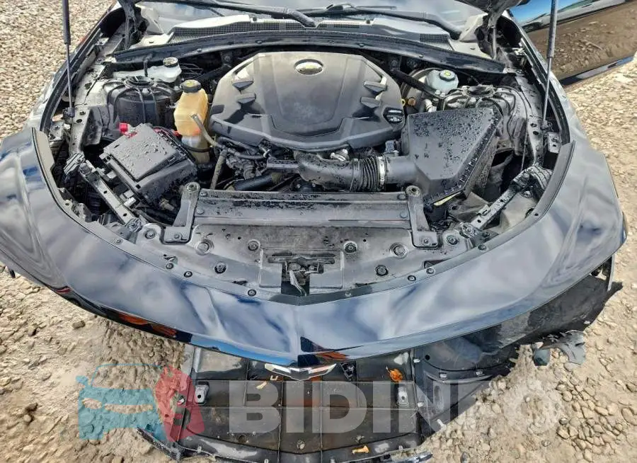 1G1FB1RS0L0130811 Photo# 11