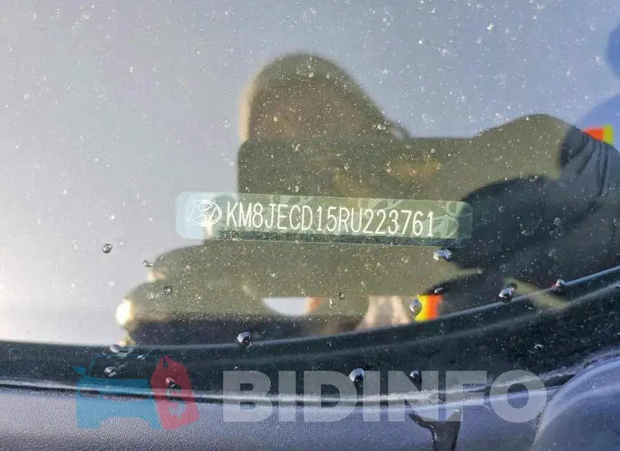 KM8JECD15RU223761 Photo# 12