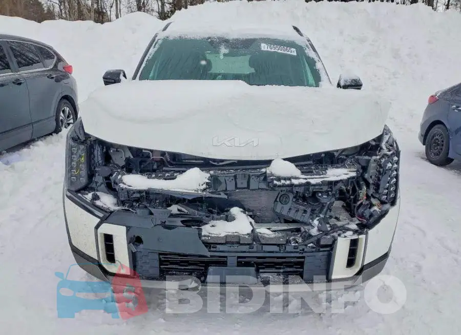 KNDAEFS5XT6069636 Photo# 5