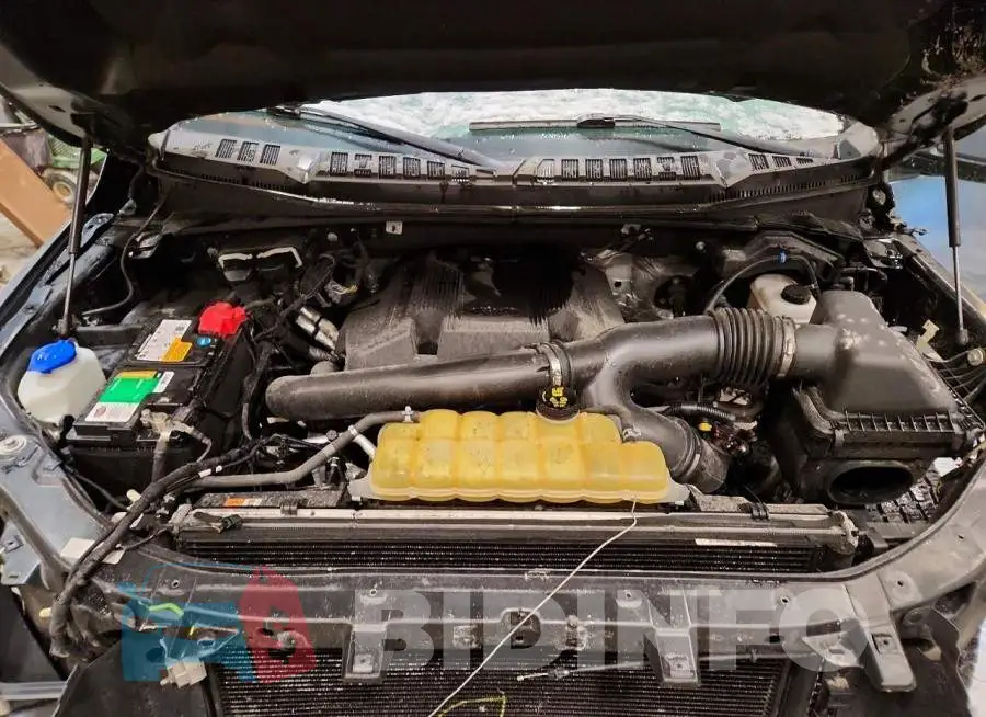 1FTEW1E48KKC65813 Photo# 11