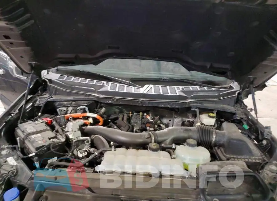 1FTFW5LD8RFA96619 Photo# 11