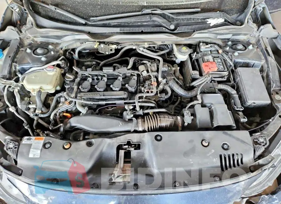 19XFC1F32LE221491 Photo# 11