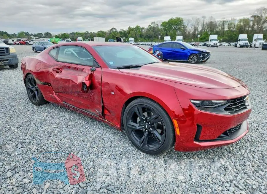 1G1FB1RS7K0147376 Photo# 4