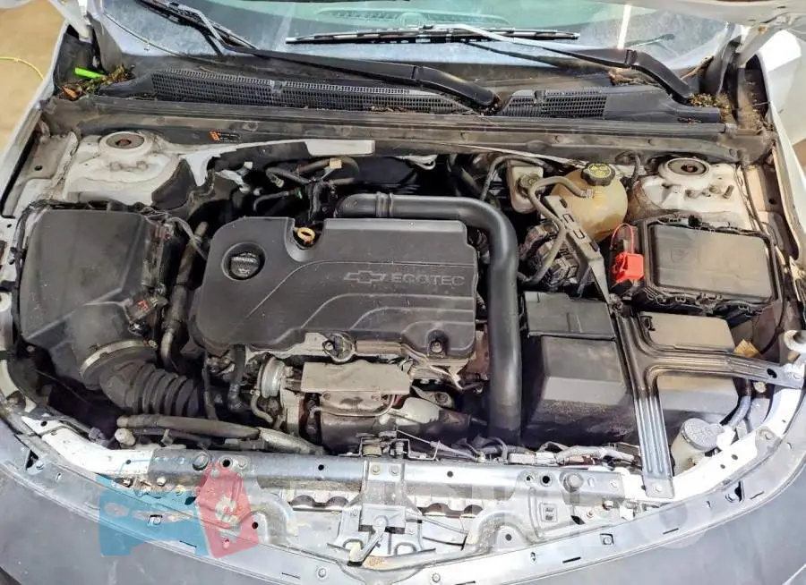 1G1ZD5STXJF123831 Photo# 11