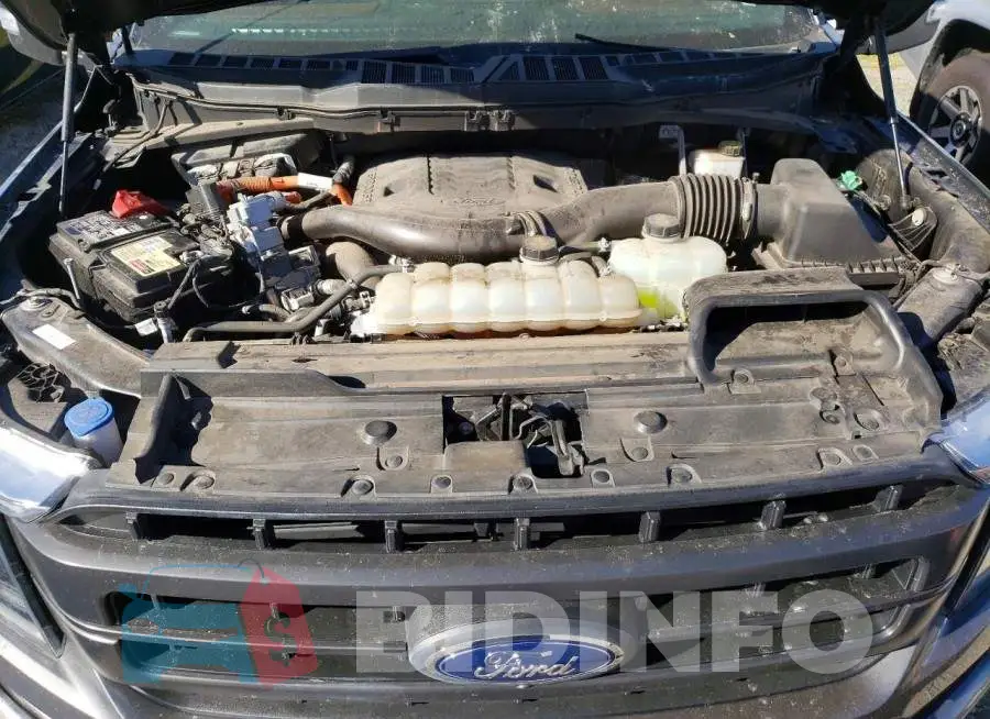 1FTFW1ED7PFB16801 Photo# 11