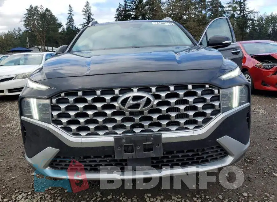5NMS5DA13PH021346 Photo# 5