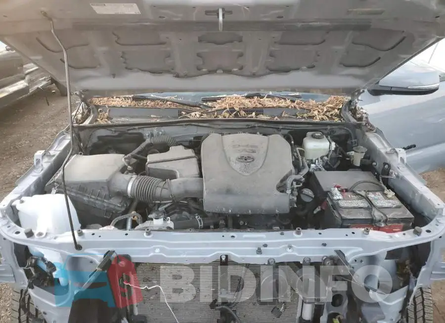 3TYCZ5AN9MT028283 Photo# 11