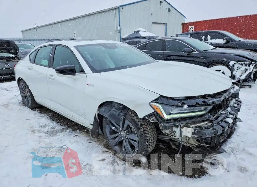 19UUB6F55PA800073 Photo# 4