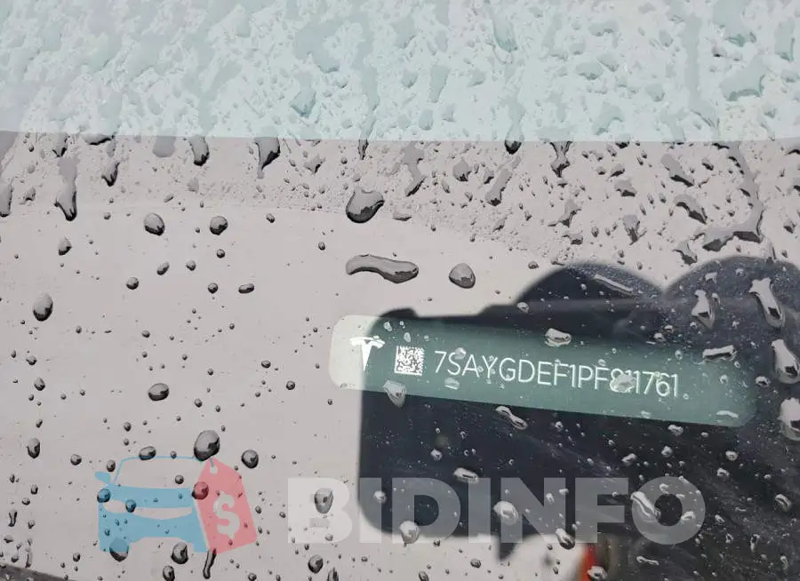 7SAYGDEF1PF811761 Photo# 12