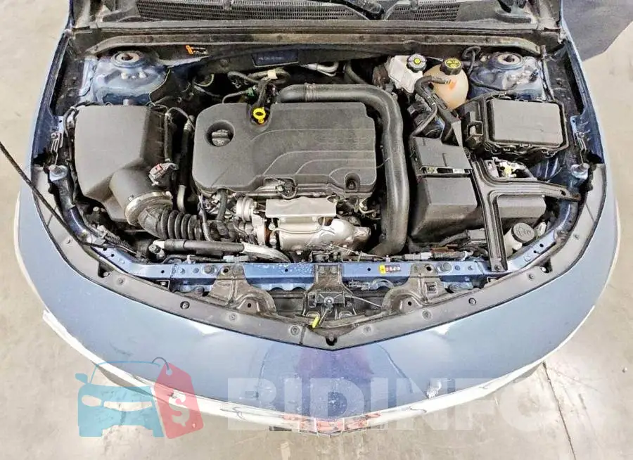 1G1ZE5ST3RF163953 Photo# 11