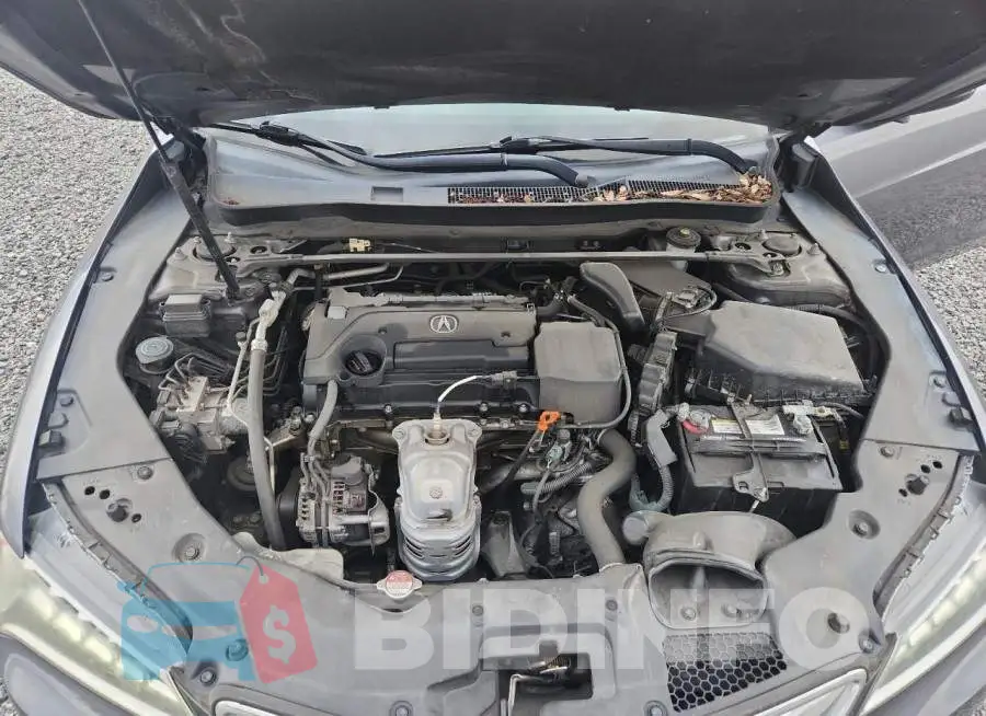 19UUB1F55HA003424 Photo# 11