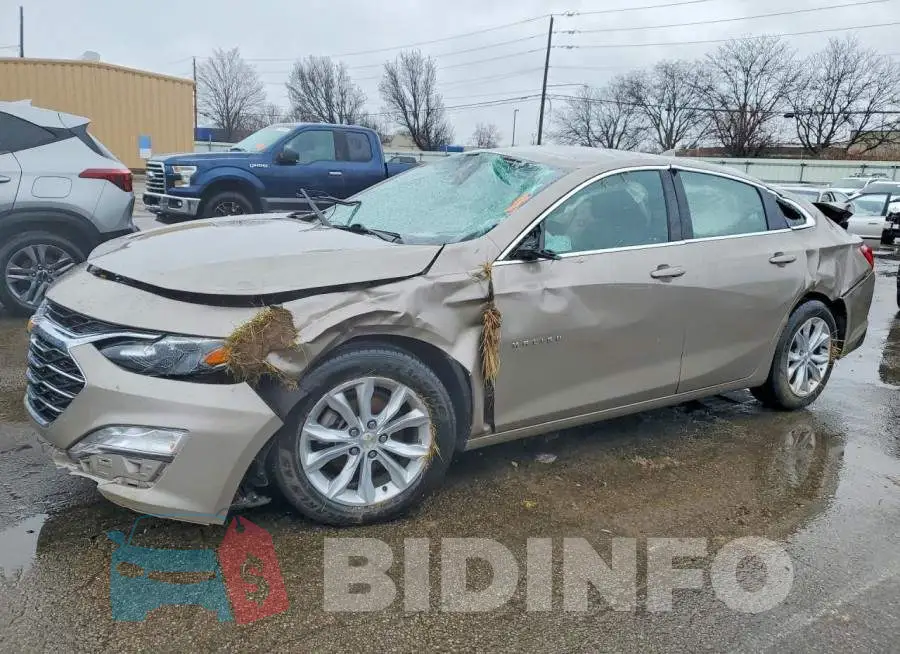 1G1ZD5STXPF177560 Photo# 1