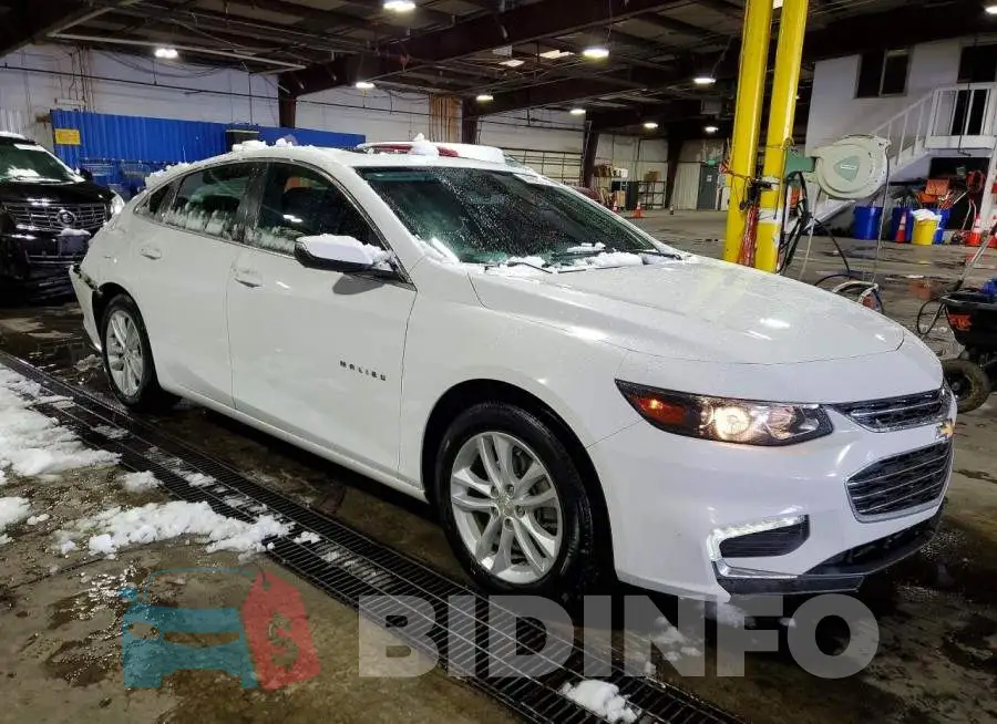1G1ZD5ST5JF133036 Photo# 4