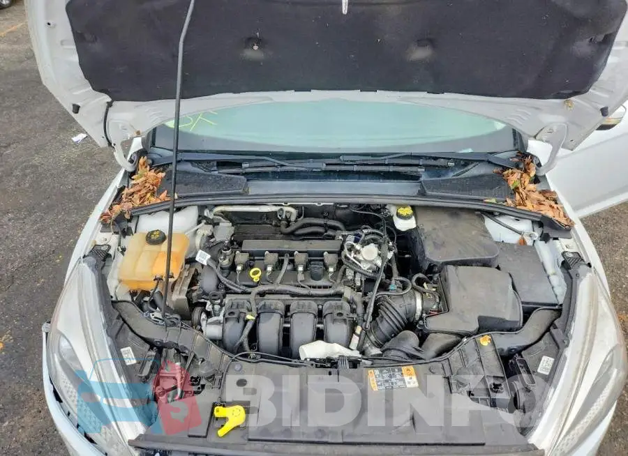 1FADP3F20HL280364 Photo# 11