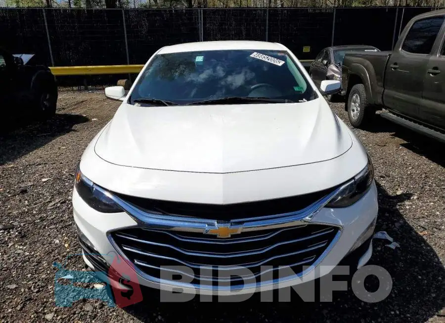 1G1ZD5ST1PF209196 Photo# 5