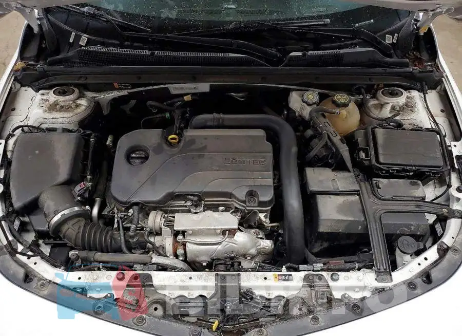 1G1ZD5ST6PF226348 Photo# 11
