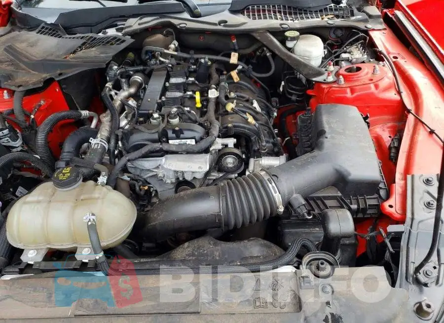 1FATP8UH1P5102403 Photo# 11
