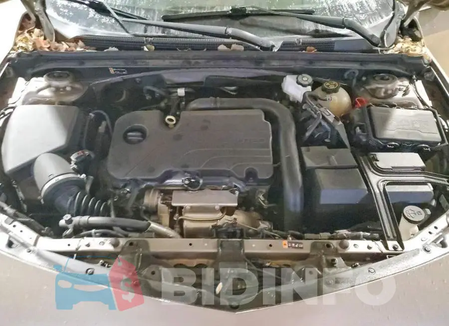 1G1ZD5ST5PF189020 Photo# 11
