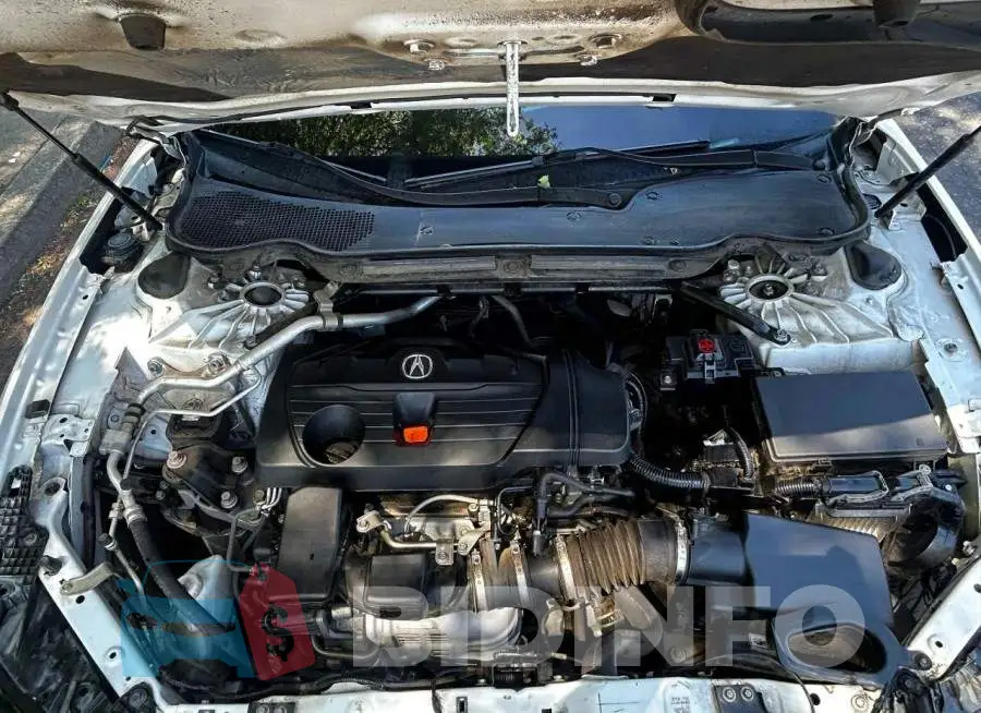 19UUB5F37MA000721 Photo# 7