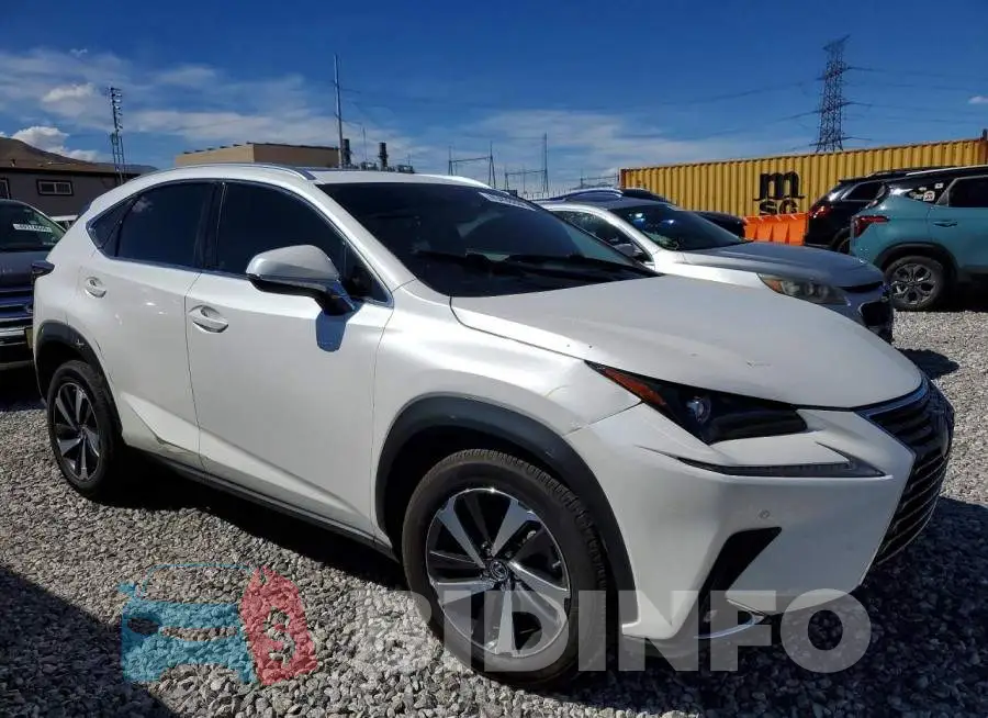 JTJGARDZ3L5014228 Photo# 4