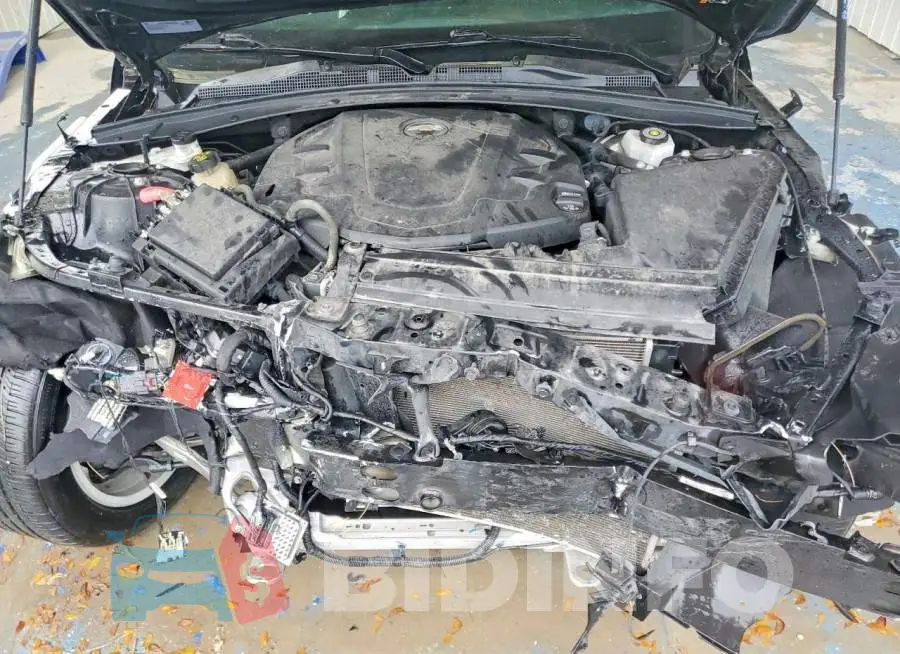 1G1FB1RS5M0142972 Photo# 11