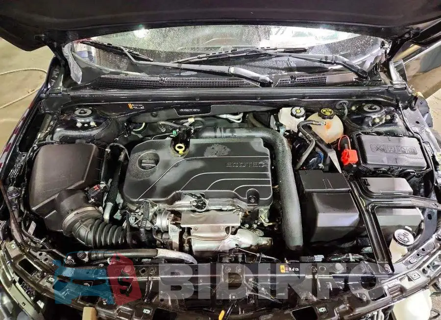 1G1ZD5ST7PF169772 Photo# 11