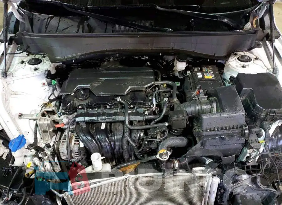 KM8HBCAB8RU116028 Photo# 12