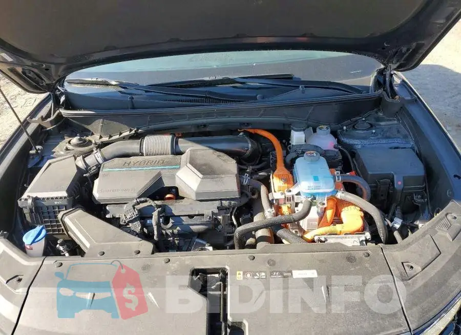 KM8JFDA23PU135157 Photo# 11