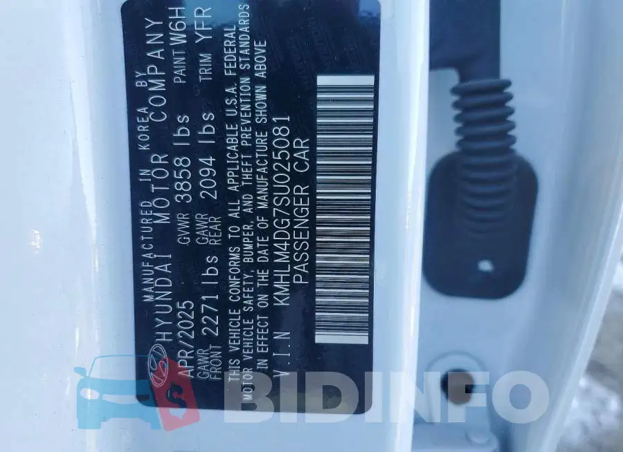 KMHLM4DG7SU025081 Photo# 12