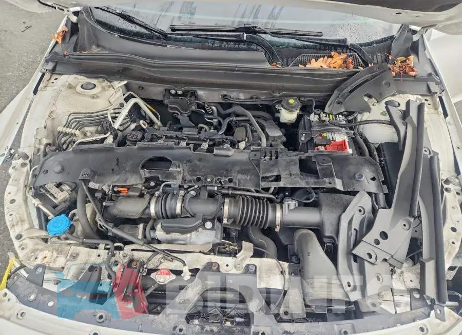 1HGCV1F31MA055371 Photo# 11