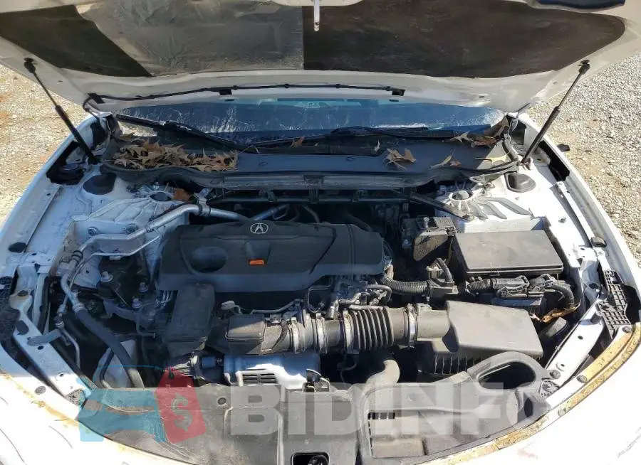 19UUB6F50MA000695 Photo# 11