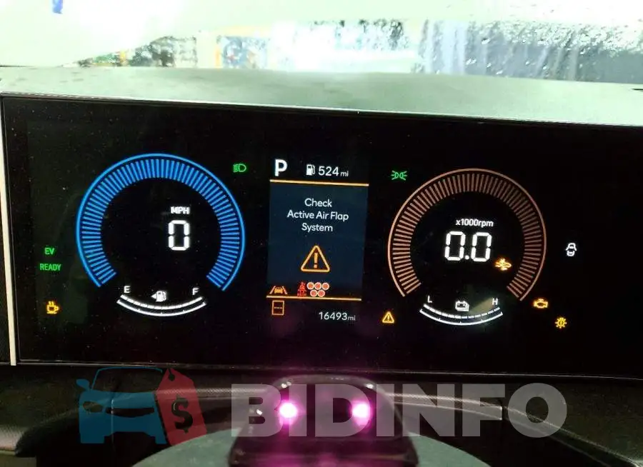 5NMP24G13SH062333 Photo# 9