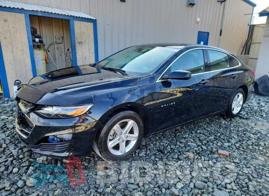 1G1ZD5ST5PF228513 Photo# 1