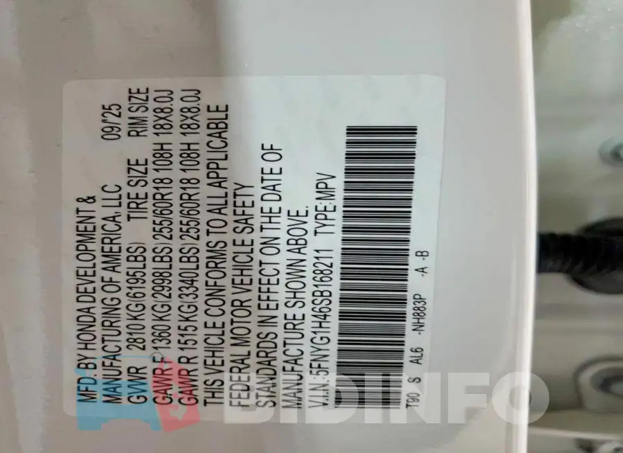 5FNYG1H46SB168211 Photo# 14