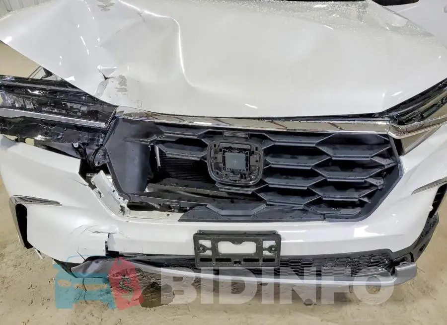 5FNYG1H46SB168211 Photo# 12