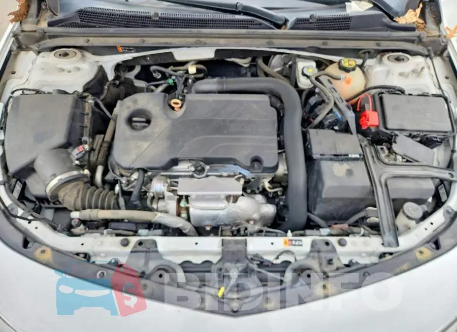 1G1ZD5ST7LF020126 Photo# 11